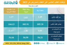 تباين-توقعات-الطلب-على-النفط-في-2025-بين-المؤسسات-الكبرى-(تقرير)