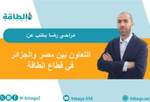 الشراكة-الجزائرية-المصرية.-نموذج-للتكامل-في-قطاع-الطاقة-(مقال)