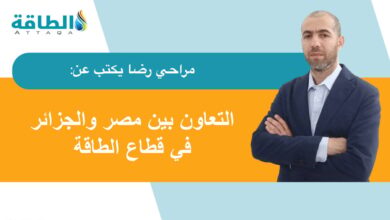الشراكة-الجزائرية-المصرية.-نموذج-للتكامل-في-قطاع-الطاقة-(مقال)