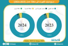 مزيج-توليد-الكهرباء-في-عمان-خلال-2024.-حصة-الغاز-تهبط-إلى-أقل-مستوى-منذ-2006