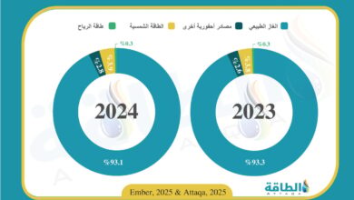مزيج-توليد-الكهرباء-في-عمان-خلال-2024.-حصة-الغاز-تهبط-إلى-أقل-مستوى-منذ-2006