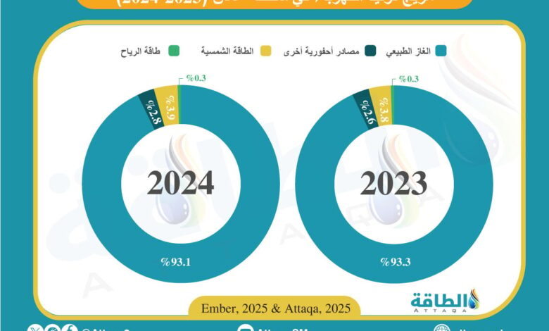 مزيج-توليد-الكهرباء-في-عمان-خلال-2024.-حصة-الغاز-تهبط-إلى-أقل-مستوى-منذ-2006