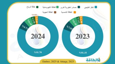 مزيج-توليد-الكهرباء-في-مصر.-الغاز-يواصل-هيمنته-(إنفوغرافيك)