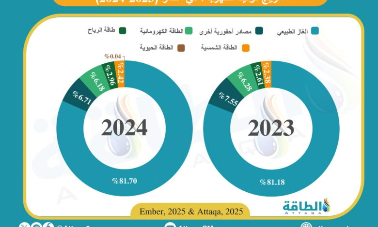 مزيج-توليد-الكهرباء-في-مصر.-الغاز-يواصل-هيمنته-(إنفوغرافيك)