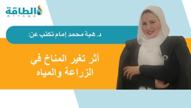 آثار-تغير-المناخ-في-أفريقيا.-تحديات-وحلول-(مقال)