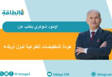 تسريع-إنتاج-دول-أوبك+-النفطي-يحقق-استقرار-السوق.-رغم-التقلبات-(مقال)