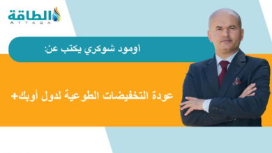 تسريع-إنتاج-دول-أوبك+-النفطي-يحقق-استقرار-السوق.-رغم-التقلبات-(مقال)