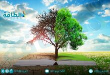 سياسات-تغير-المناخ-الحالية-تمهد-لاضطرابات-بيئية-تؤثر-في-كوكب-الأرض-(تقرير)