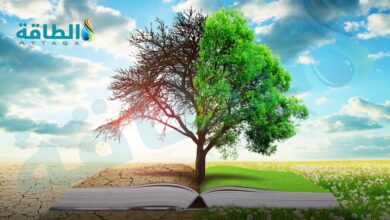 سياسات-تغير-المناخ-الحالية-تمهد-لاضطرابات-بيئية-تؤثر-في-كوكب-الأرض-(تقرير)