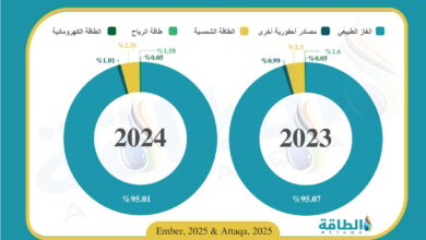 مزيج-توليد-الكهرباء-في-تونس-خلال-2024.-الغاز-الطبيعي-يهيمن-(إنفوغرافيك)
