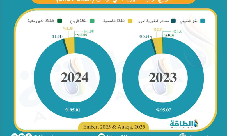 مزيج-توليد-الكهرباء-في-تونس-خلال-2024.-الغاز-الطبيعي-يهيمن-(إنفوغرافيك)