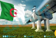 7-معلومات-عن-أنبوب-الغاز-العابر-للصحراء-بعد-انسحاب-النيجر
