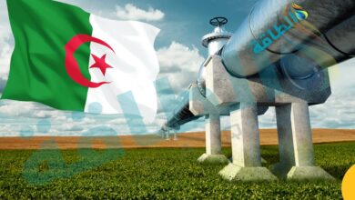 7-معلومات-عن-أنبوب-الغاز-العابر-للصحراء-بعد-انسحاب-النيجر