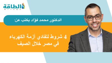 من-التحذير-إلى-التحرك.-صيف-2025-يختبر-كفاءة-استجابة-مصر-لأزمة-الطاقة-(مقال)