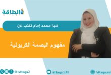 البصمة-الكربونية.-طرق-القياس-ووسائل-خفض-الانبعاثات-(مقال)
