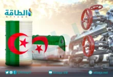 8-شركات-تقتنص-جولة-تراخيص-النفط-والغاز-في-الجزائر