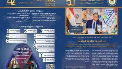 غاز-مصر-:-بتنفيذ-استراتيجية-المحاور-الستة-الأساسية-التي-تتبناها-وزارة-البترول