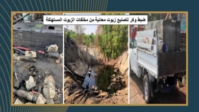 الهيئة-العامة-للبترول-:-تحصيل-غرامات-مالية-مستحقة-بقيمة-تجاوزت-12-مليون-جنيه